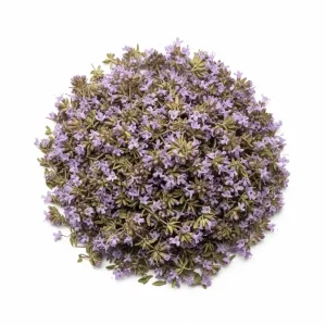 Tisane de fleur de thym biologique