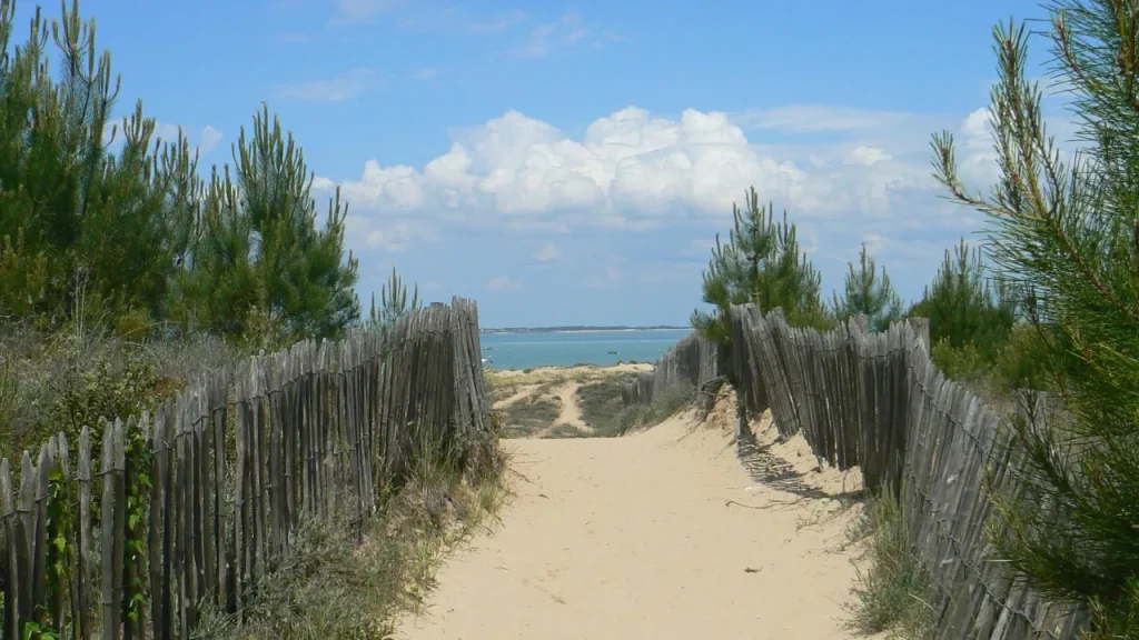 Vue sur l'océan à l'île d'Oléron