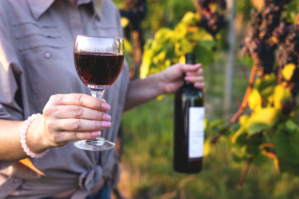 Dégustation de vin au pied de la vigne