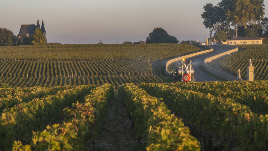 Sélectionner des domaines reconnus