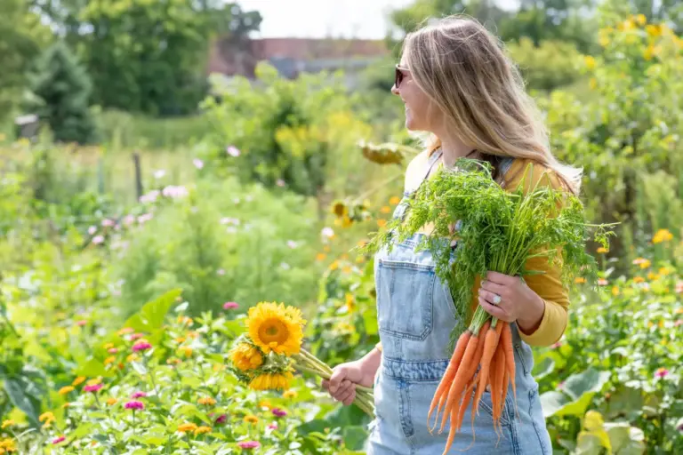 Cueillette de légumes du jardin
