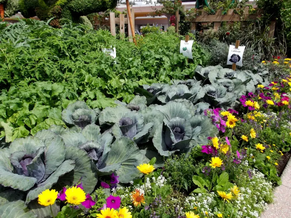 Mélange de légumes et de fleurs