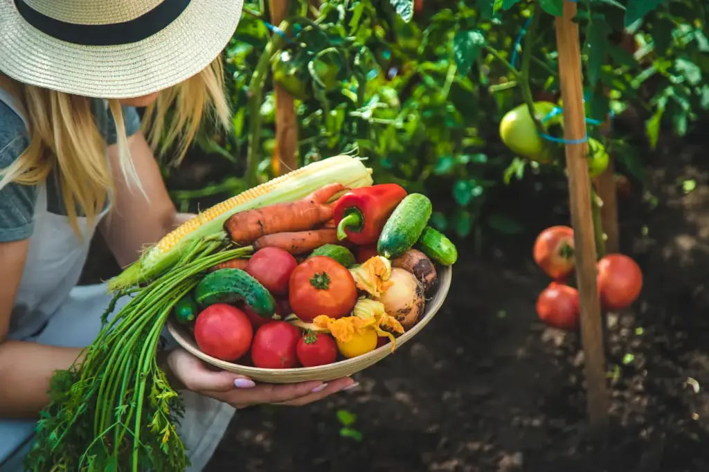 Beaux légumes du potager