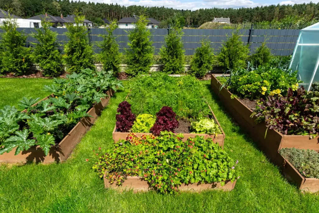 Structurer l'espace au jardin