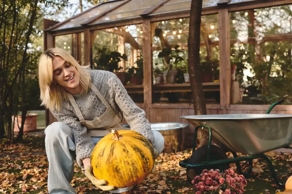 Jardin en automne