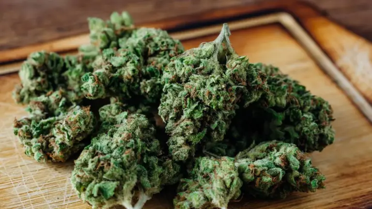 fleur CBD indoor et outdoor
